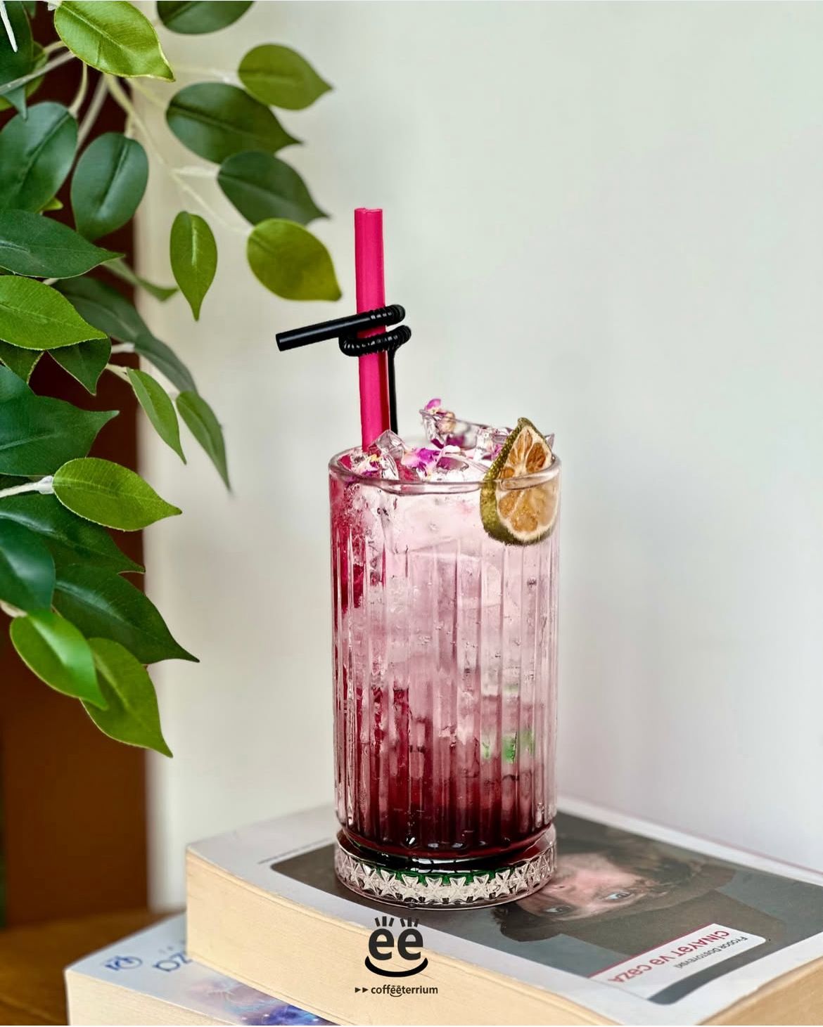 LEMONADE (RASPBERRY)